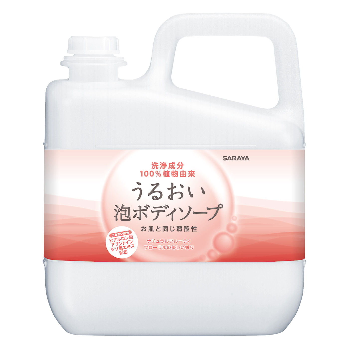 5L