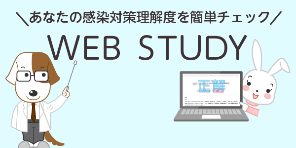 WEB STUDY