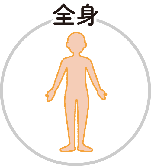 全身