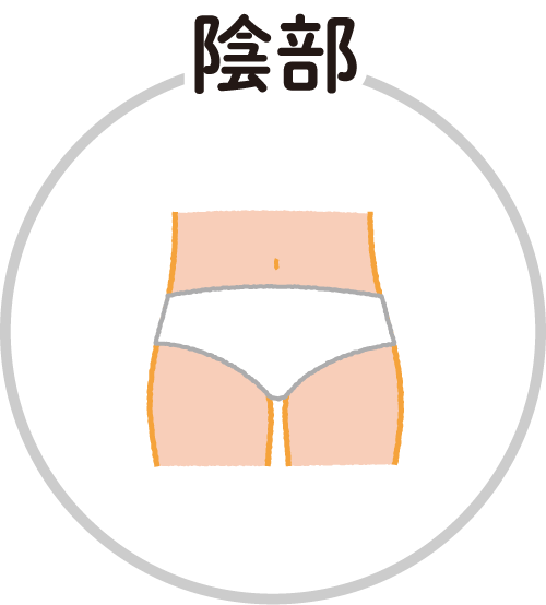 陰部